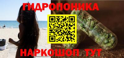 стафф Лесосибирск