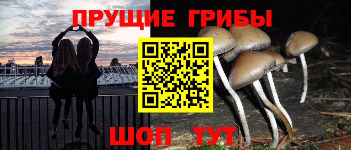 Псилоцибиновые грибы Magic Shrooms Камышин