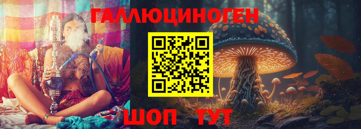 Камышин  Псилоцибиновые грибы Cubensis  Псилоцибиновые грибы MAGIC MUSHROOMS  Вход с VPN 